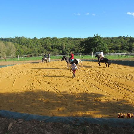 Gite Equestre Domaine Des Crins - Biron Capdrot Екстер'єр фото