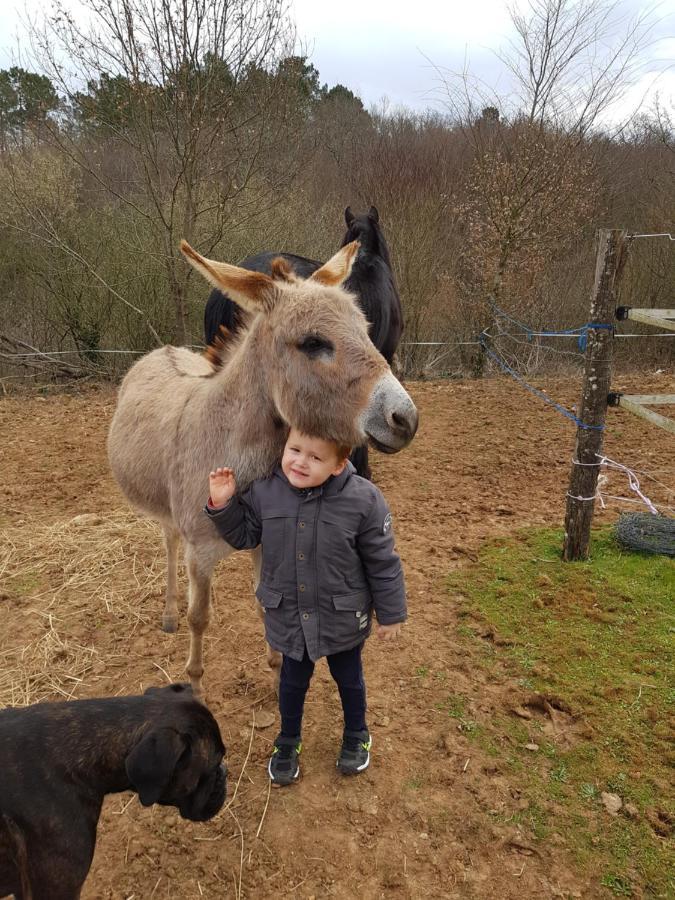 Gite Equestre Domaine Des Crins - Biron Capdrot Екстер'єр фото